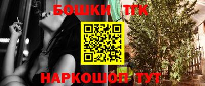индика Будённовск