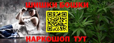 индика Будённовск