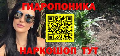 индика Будённовск