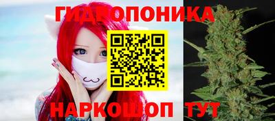 индика Будённовск